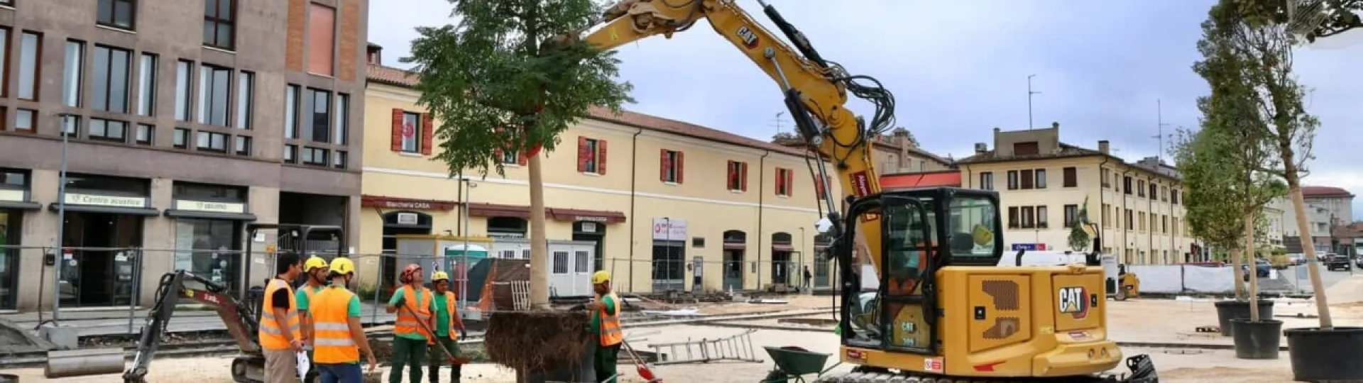 alberi_piazza travaglio.
