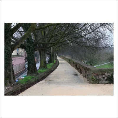 Cantiere Baluardi febbraio 2026