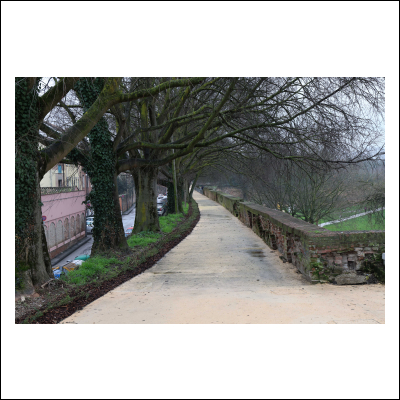 Cantiere Baluardi febbraio 2026