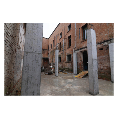 Cantiere Museo Storia Naturale Febbraio 2026 4